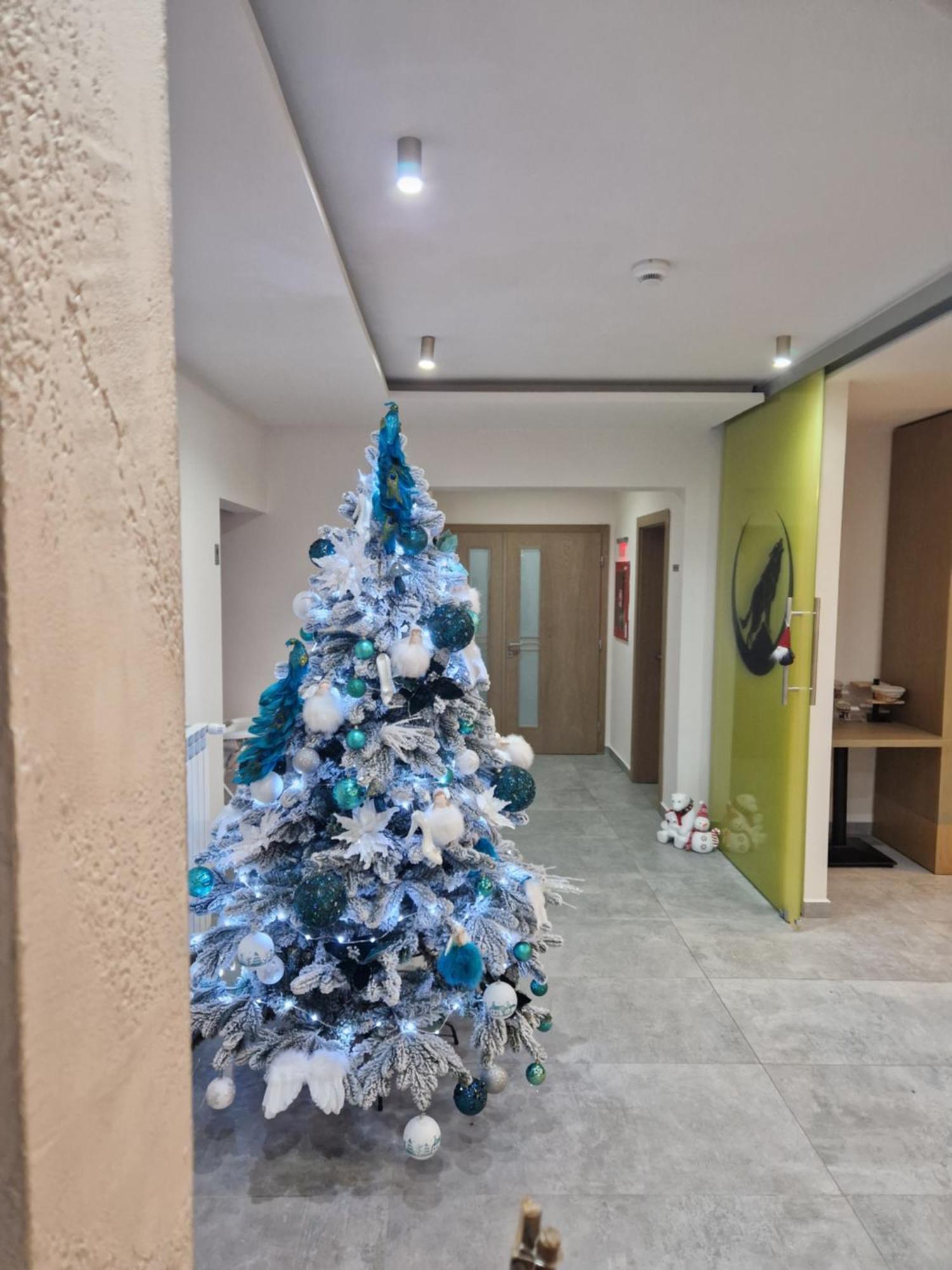 Hotel New Wolf à Bran  Extérieur photo