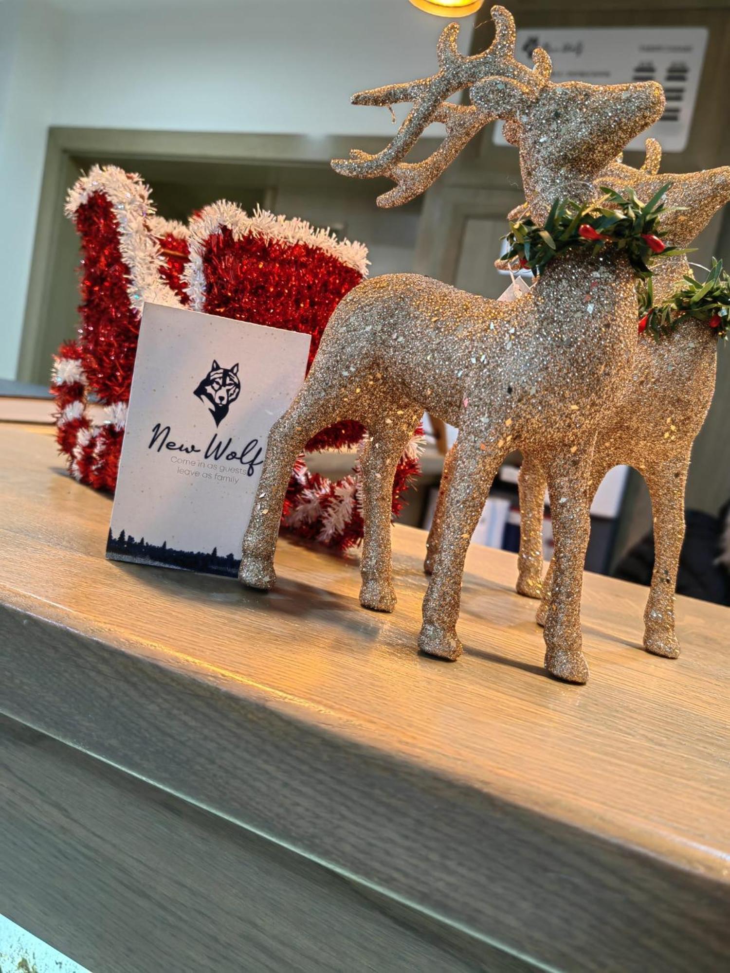 Hotel New Wolf à Bran  Extérieur photo
