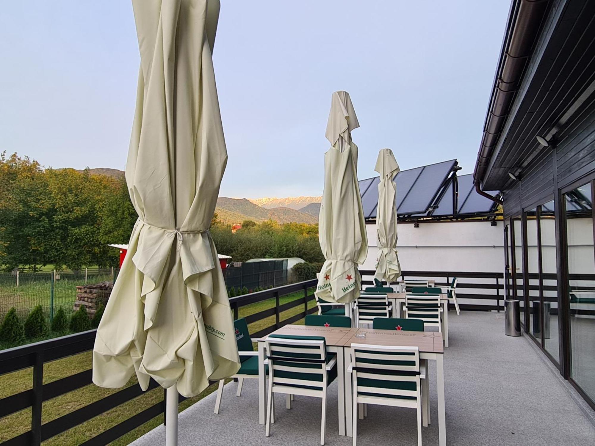 Hotel New Wolf à Bran  Extérieur photo