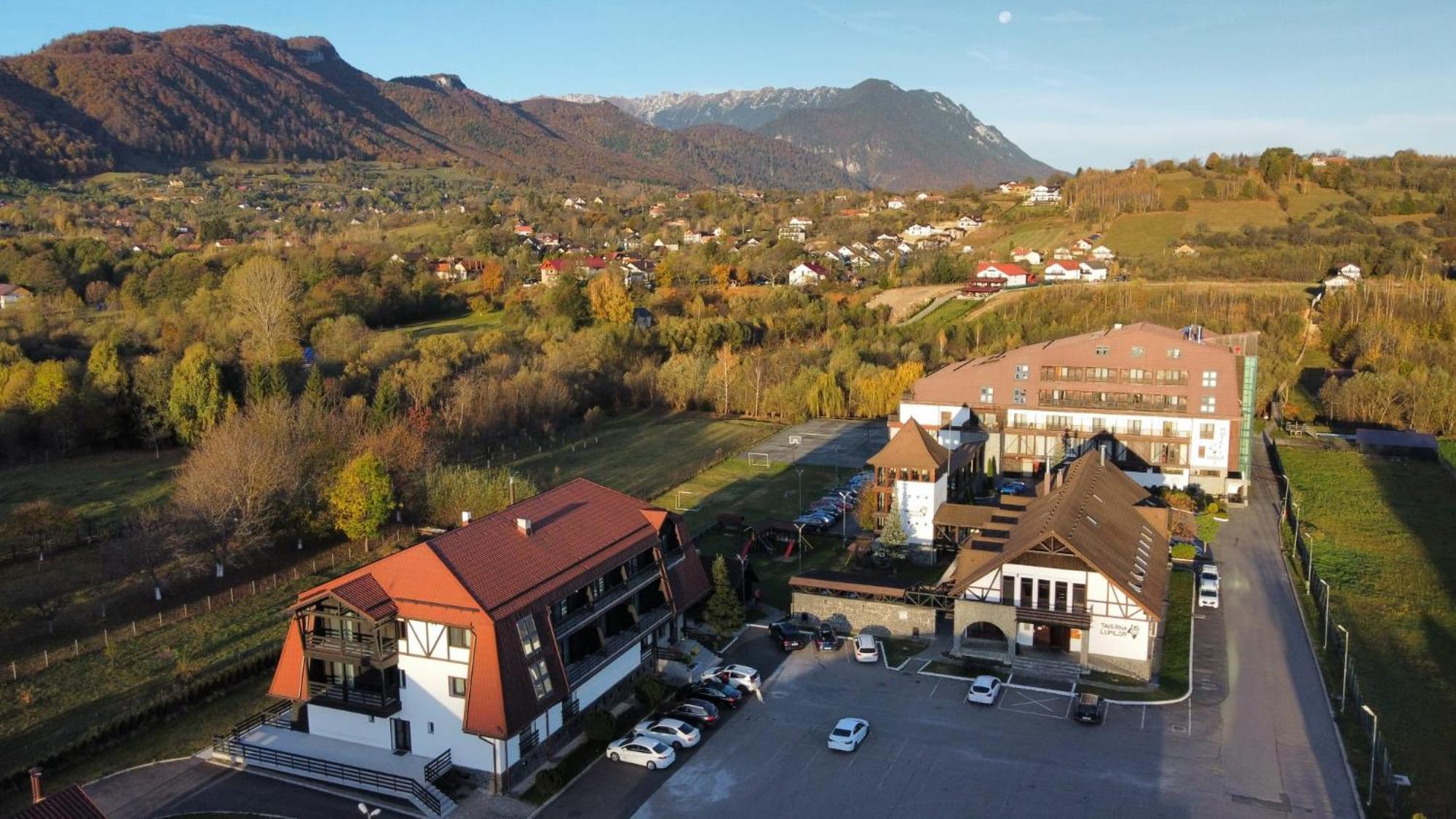 Hotel New Wolf à Bran  Extérieur photo