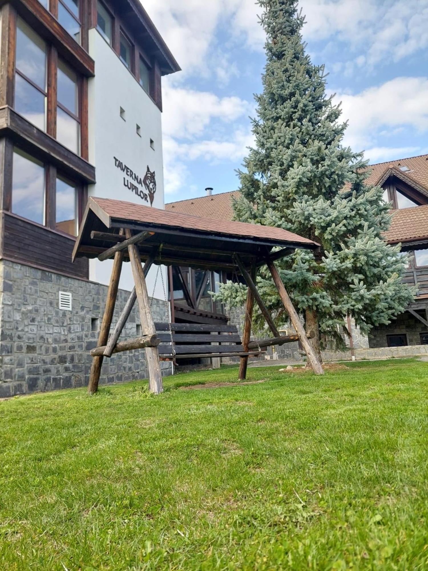 Hotel New Wolf à Bran  Extérieur photo