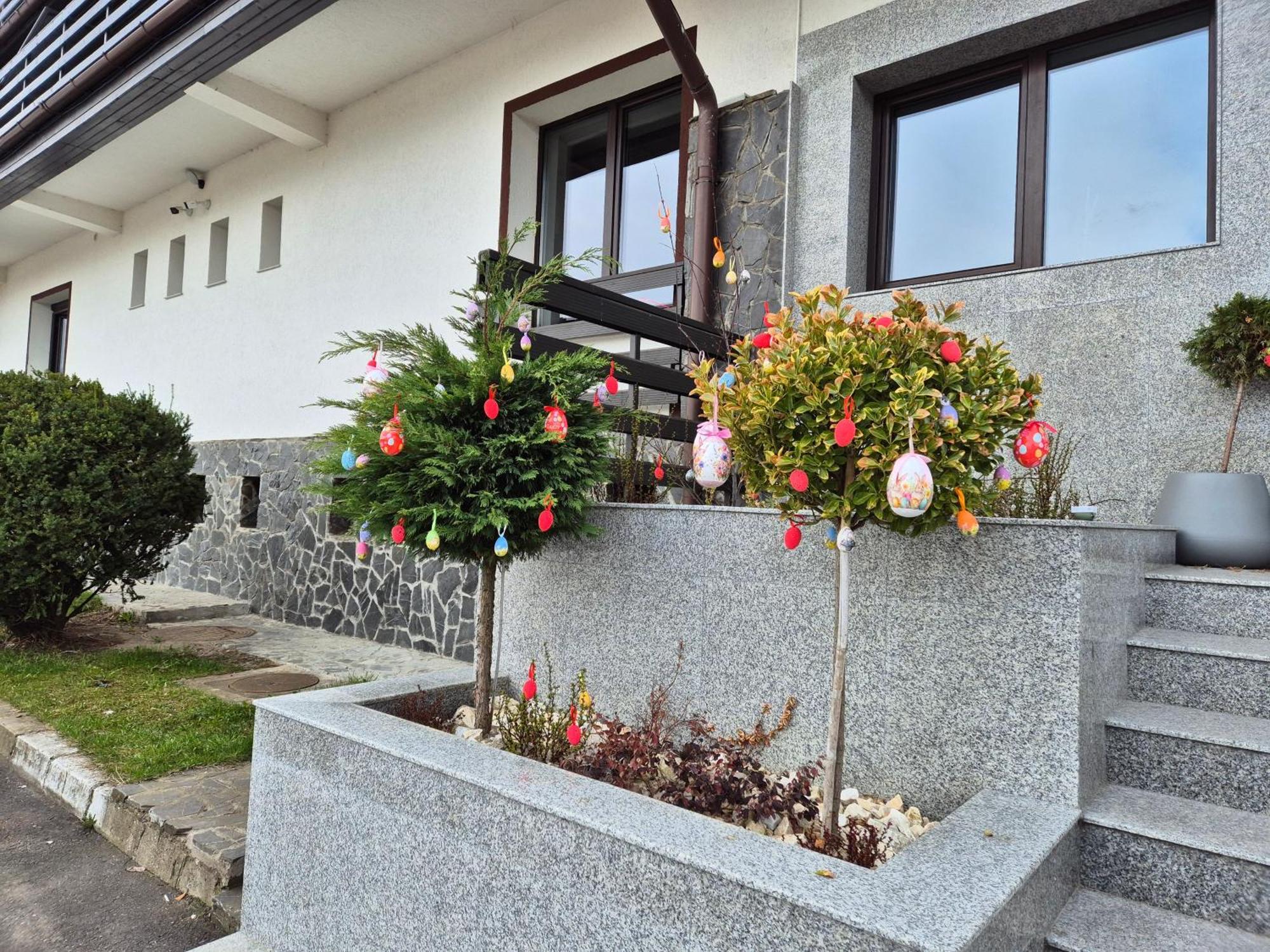 Hotel New Wolf à Bran  Extérieur photo